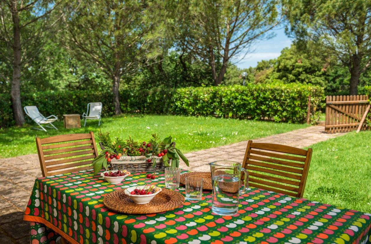 Donzellino Villa Massa Marittima Ngoại thất bức ảnh